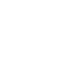 icon-why